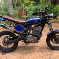 xr600 gumtree