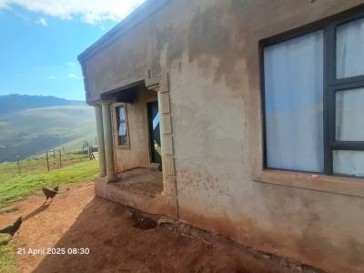 My House